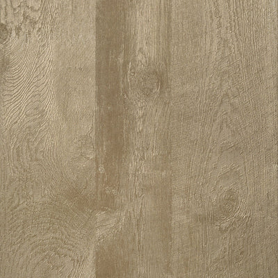 THIBAUT WALLCOVERING-EASTWOOD- T57194