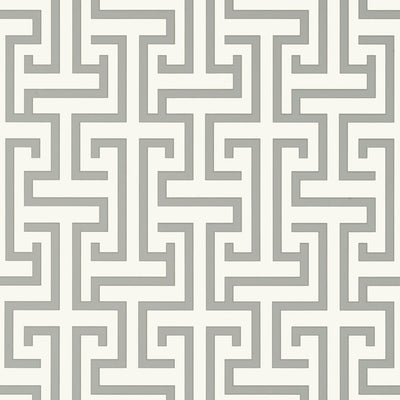 THIBAUT WALLCOVERING-MING TRAIL- T75475