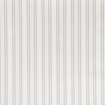 Stout Fabrics , Tara Tara, Grey color, Multipurpose Wovens style type , pattern number  TARA-2
