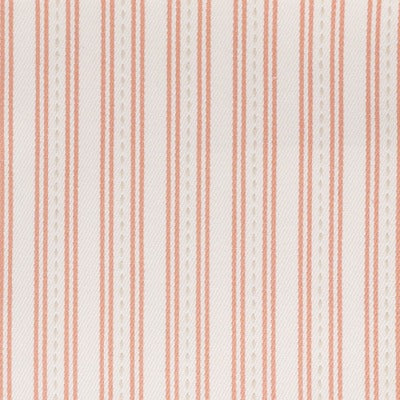Stout Fabrics , Tara Tara, Orange color, Multipurpose Wovens style type , pattern number  TARA-4