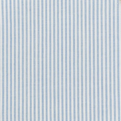 Stout Fabrics , Tarkington Tarkington, Blue color, Multipurpose Wovens style type , pattern number  TARK-2