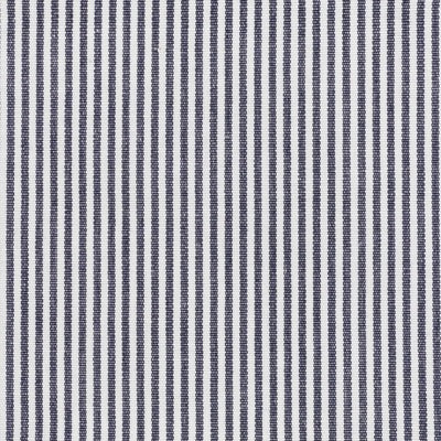 Stout Fabrics , Tarkington Tarkington, Blue color, Multipurpose Wovens style type , pattern number  TARK-3
