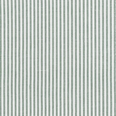 Stout Fabrics , Tarkington Tarkington, Grass color, Multipurpose Wovens style type , pattern number  TARK-5