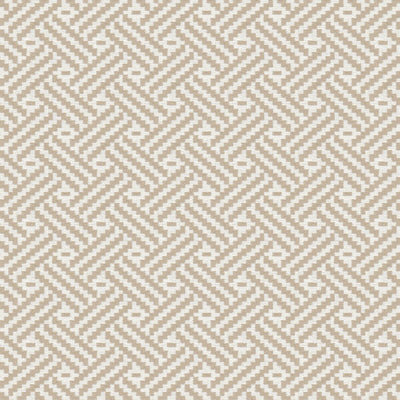 STOUT FABRICS  -TOBY -TOBY-3