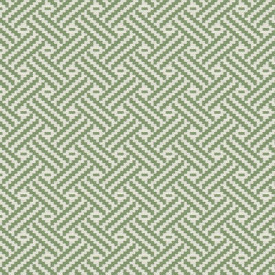 Stout Fabrics , Toby Toby, Green color, Multipurpose Wovens style type , pattern number  TOBY-4