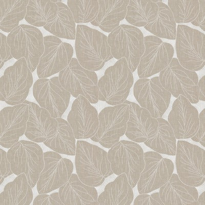 Stout Fabrics , Translate Translate, Beige color, Multipurpose Embroideries style type , pattern number  TRAN-1