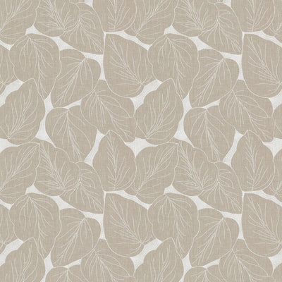 STOUT FABRICS  -TRANSLATE -TRAN-1