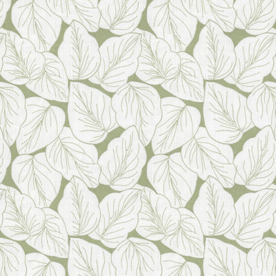 STOUT FABRICS  -TRANSLATE -TRAN-2