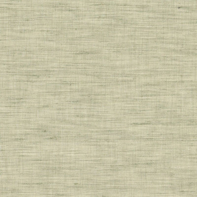 STOUT FABRICS  -TYLER -TYLE-1