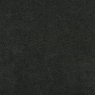 KRAVET FABRICS-ULTRASUEDE.5610.0