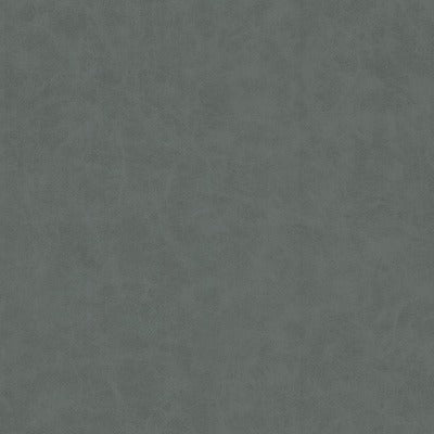 Stout Fabrics , Unveil Unveil, Grey color, Faux Leather style type , pattern number  UNVE-2