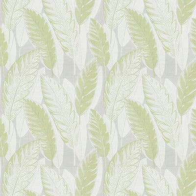 Stout Fabrics , Valor Valor, Green color, Multipurpose Wovens style type , pattern number  VALO-1
