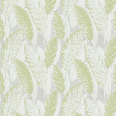 STOUT FABRICS  -VALOR -VALO-1