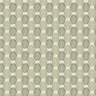 STOUT FABRICS  -VIEW -VIEW-3