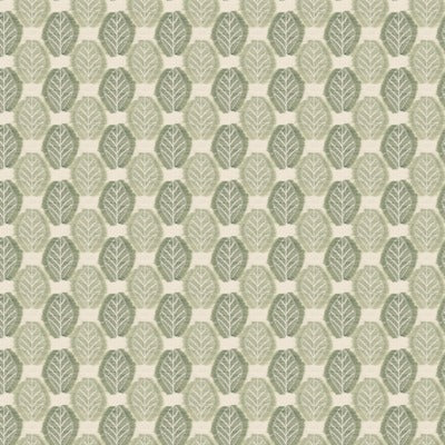 Stout Fabrics , View View, Green color, Multipurpose Wovens style type , pattern number  VIEW-3