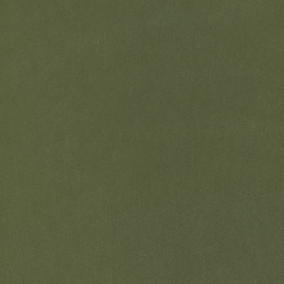 THIBAUT FABRICS-MILES MOHAIR VELVET-W72822