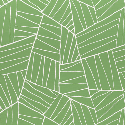 THIBAUT FABRICS-JORDAN-W74652