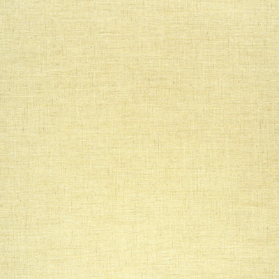 THIBAUT FABRICS-AMBIENT-W75213