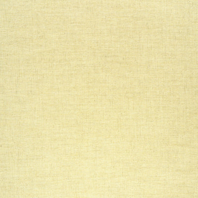 THIBAUT FABRICS-AMBIENT-W75213