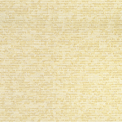 THIBAUT FABRICS-BOREALIS-W75232