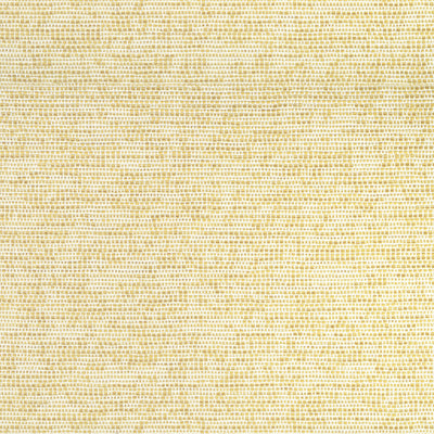 THIBAUT FABRICS-BOREALIS-W75232