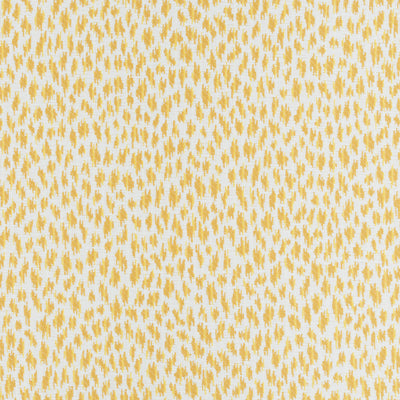 THIBAUT FABRICS-CITRA-W80454