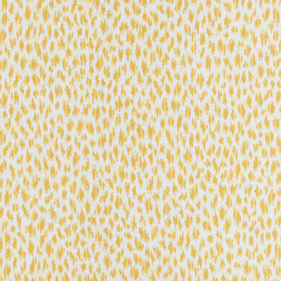THIBAUT FABRICS-CITRA-W80454