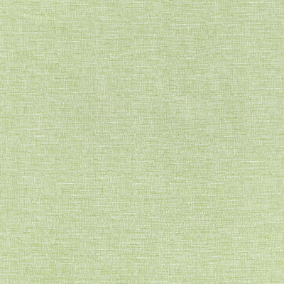 THIBAUT FABRICS-FINLEY-W81609
