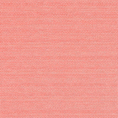 THIBAUT FABRICS-CAMERON-W81646