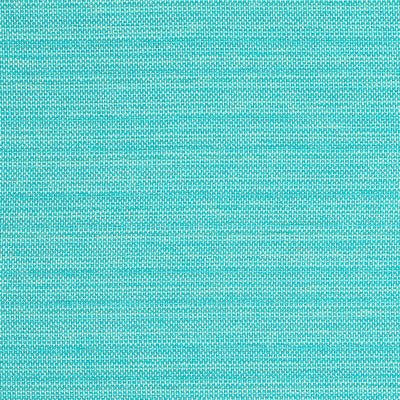 THIBAUT FABRICS-CAMERON-W81647