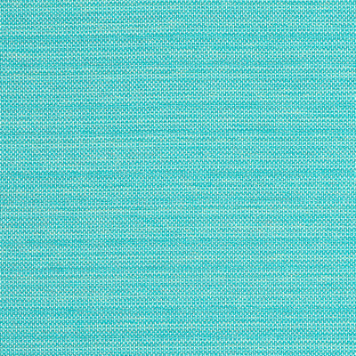 THIBAUT FABRICS-CAMERON-W81647