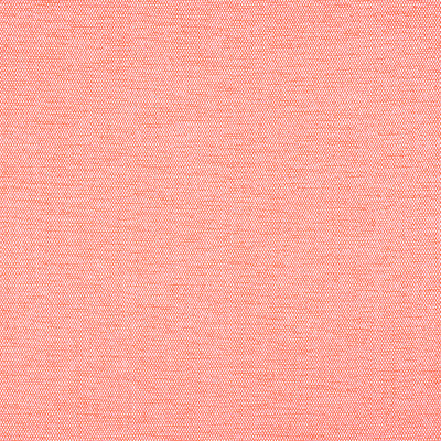 THIBAUT FABRICS-CLARA-W8595