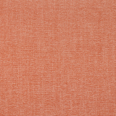 THIBAUT FABRICS-VEDA-W8713