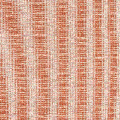 THIBAUT FABRICS-SACCHI-W8761