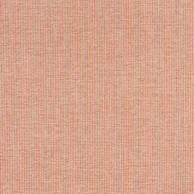 THIBAUT FABRICS-SACCHI-W8761