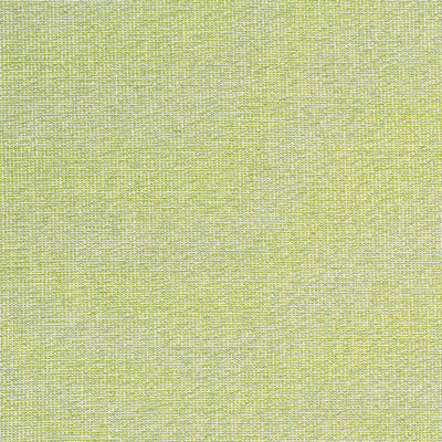THIBAUT FABRICS-SACCHI-W8763