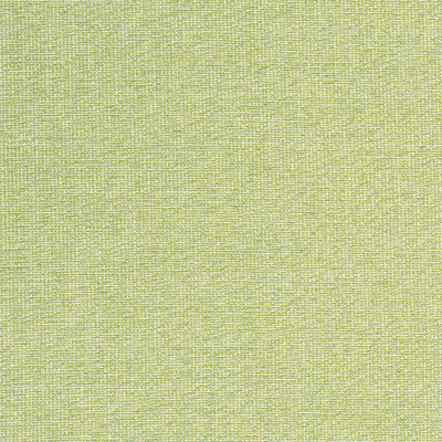 THIBAUT FABRICS-SACCHI-W8763
