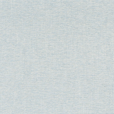 THIBAUT FABRICS-SACCHI-W8764