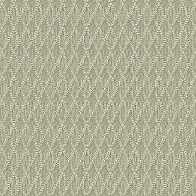 Stout Fabrics , Wynnewood Wynnewood, Green color, Multipurpose Wovens style type , pattern number  WYNN-2