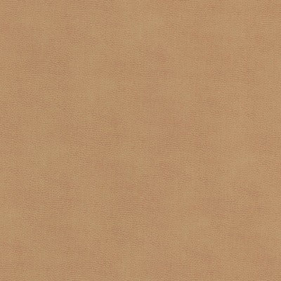 Stout Fabrics , Ziemba Ziemba, Brown color, Faux Leather style type , pattern number  ZIEM-1