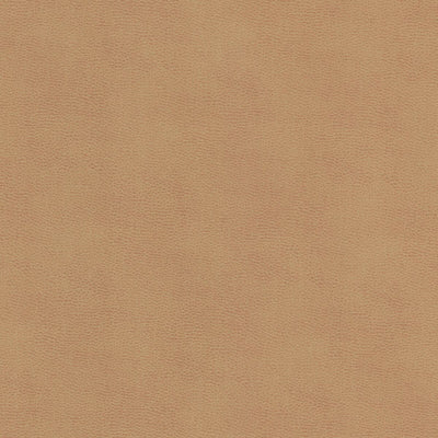 STOUT FABRICS  -ZIEMBA -ZIEM-1
