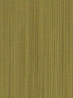 ROBERT ALLEN FABRICS-GARCIA -GRASS