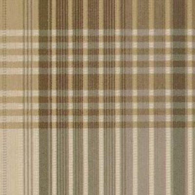 ROBERT ALLEN FABRICS-VITO -PLATINUM