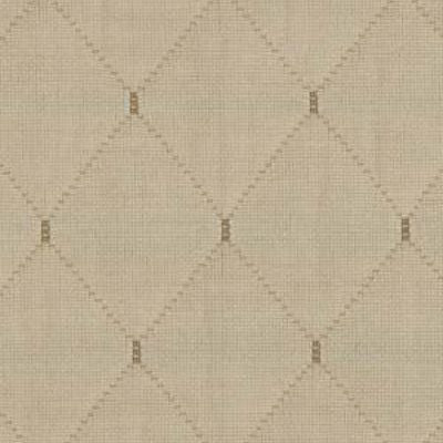ROBERT ALLEN FABRICS-HUGO -PLATINUM