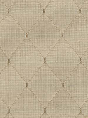 ROBERT ALLEN FABRICS-HUGO -PLATINUM