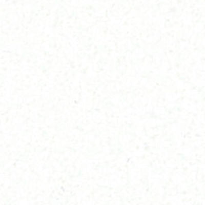 ROBERT ALLEN FABRICS-LEIDEN B/O  54 -WHITE