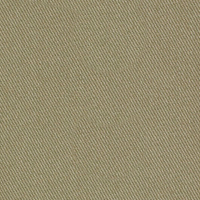 ROBERT ALLEN FABRICS-SUCCESS -DUNE