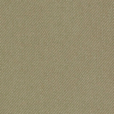 ROBERT ALLEN FABRICS-SUCCESS -DUNE
