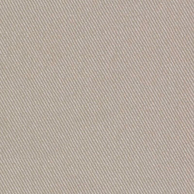 ROBERT ALLEN FABRICS-SUCCESS -PUTTY