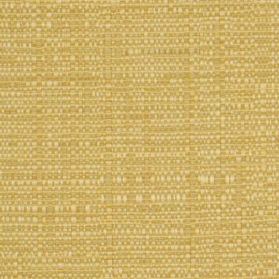 ROBERT ALLEN FABRICS-NEZUMI BK -JASMINE